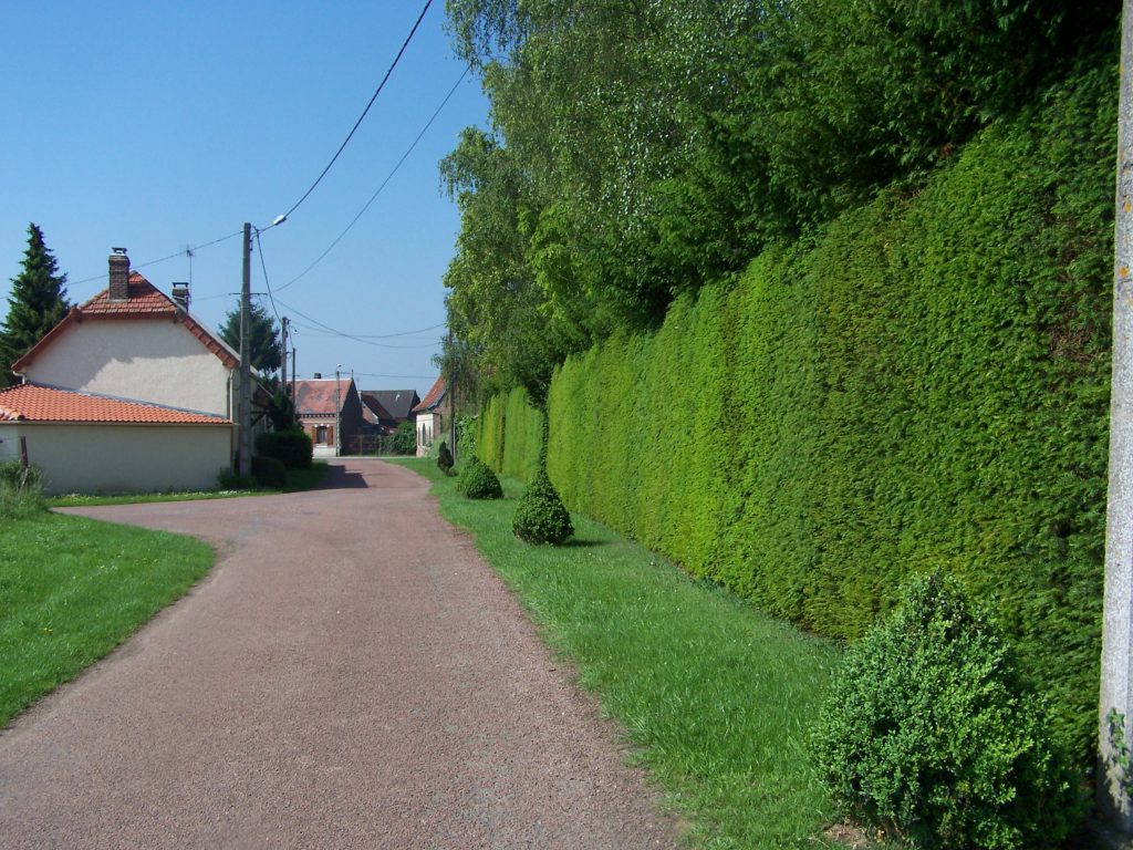 aubvillers communauté de communs somme