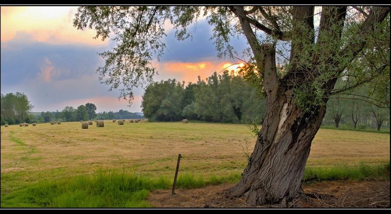 moreuil com de com somme picardie